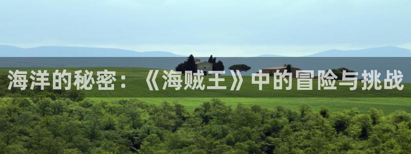 韩国的漫画韩漫：海洋的秘密：《海贼王》中的冒险与挑战