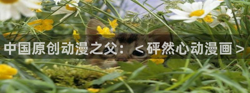 韩漫画免费漫画：中国原创动漫之父：＜砰然心动漫画＞