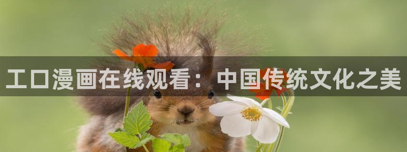 韩漫继mu与继jie漫画下拉：工口漫画在线观看：中国传统文化之美