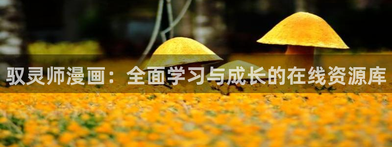 韩漫双男主在线看：驭灵师漫画：全面学习与成长的在线资源库