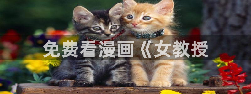在线观看免费韩漫：免费看漫画《女教授